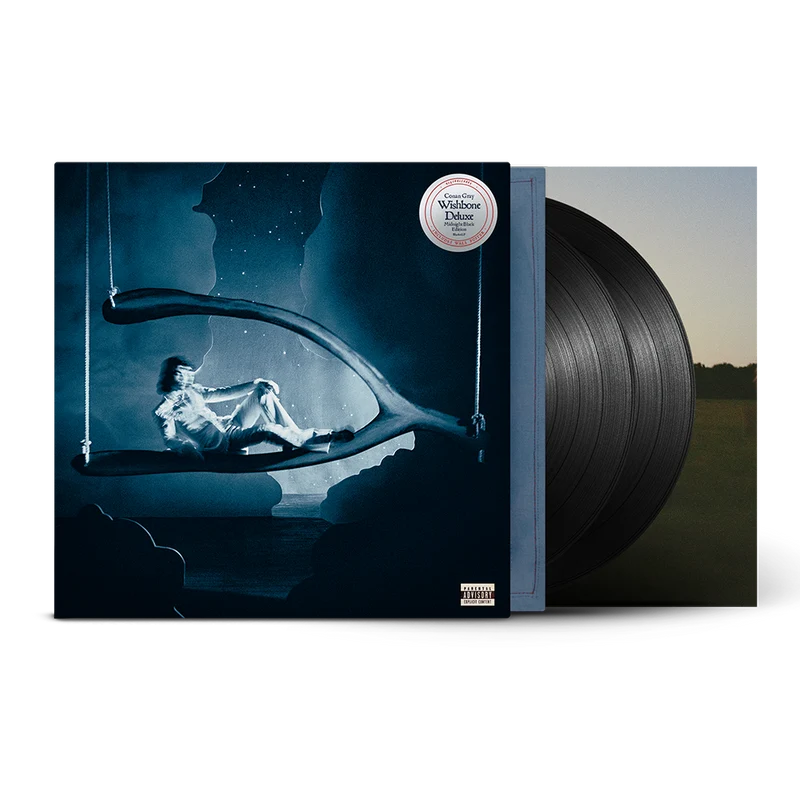 Conan Gray - Wishbone Deluxe 2LP (Black VINYL)