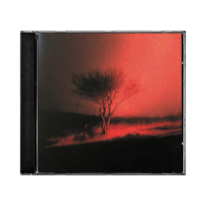 Joji - Piss In The Wind (CD)