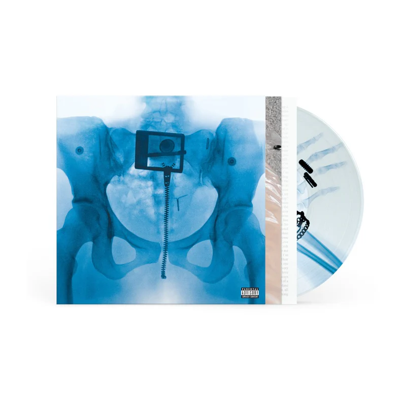 Lorde　ロード　Virgin　ヴァージン 限定盤　ピクチャーディスク　希少 Lorde - Virgin (Colored Vinyl LP) * * * - Music Direct