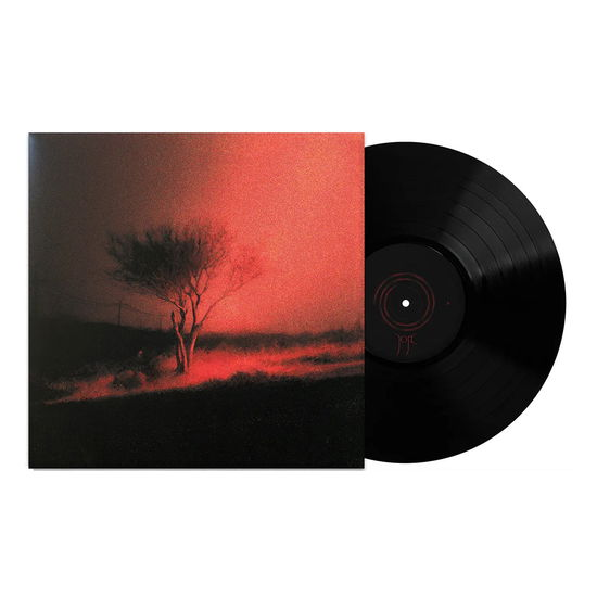 Joji - Piss In The Wind (Black LP)