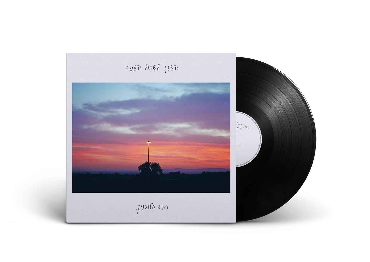 רביד פלוטניק – הדרך לשביל הזהב