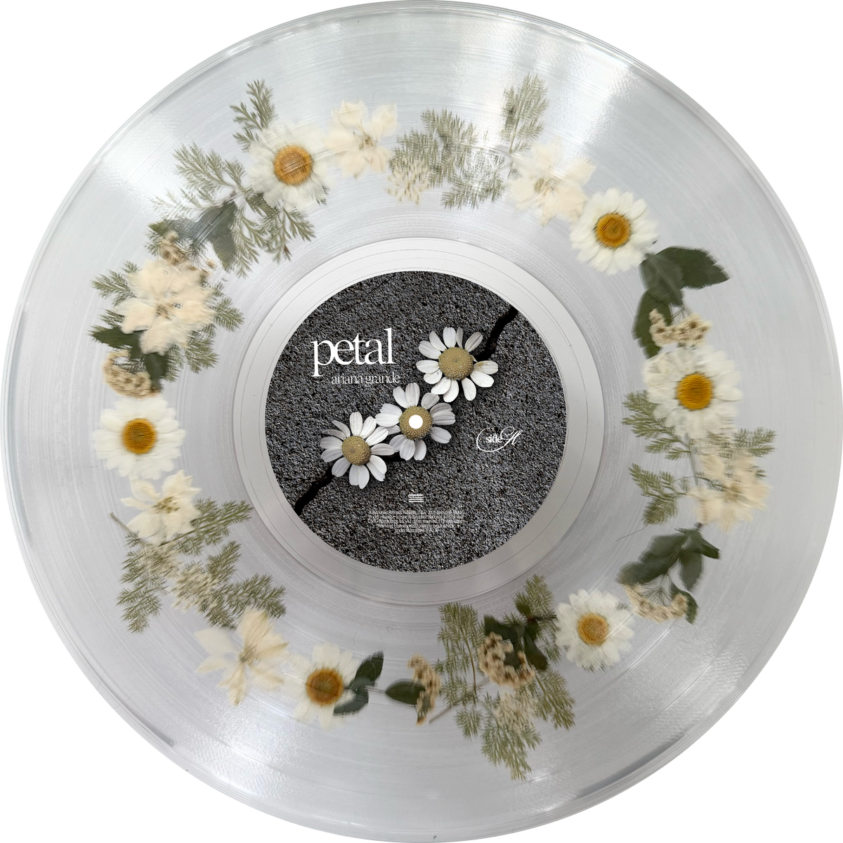 Ariana Grande - Petal (Bad World white daisy, delphinium and gypsophila flower)