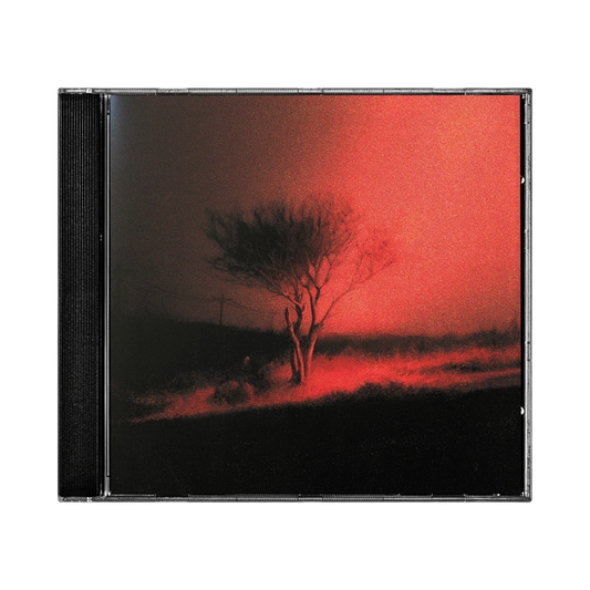 Joji - Piss In The Wind (CD)