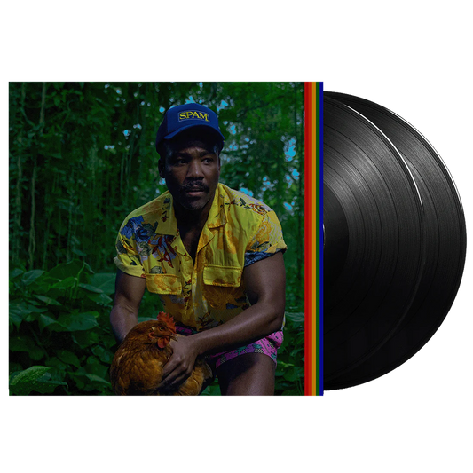 Childish Gambino - Bando Stone And The New World (2LP)
