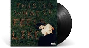 Gracie Abrams - This Is What It Feels Like (LP)