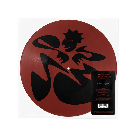 Kaytranada - AIN'T NO DAMN WAY (Picture Disc LP)