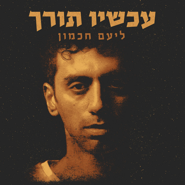 שדרוג תקליט ליעם