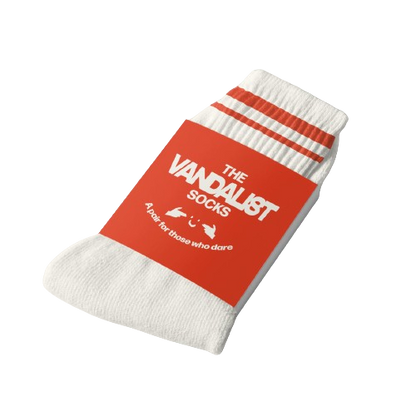 Noga Erez - The Vandalist Socks