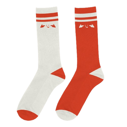 Noga Erez - The Vandalist Socks