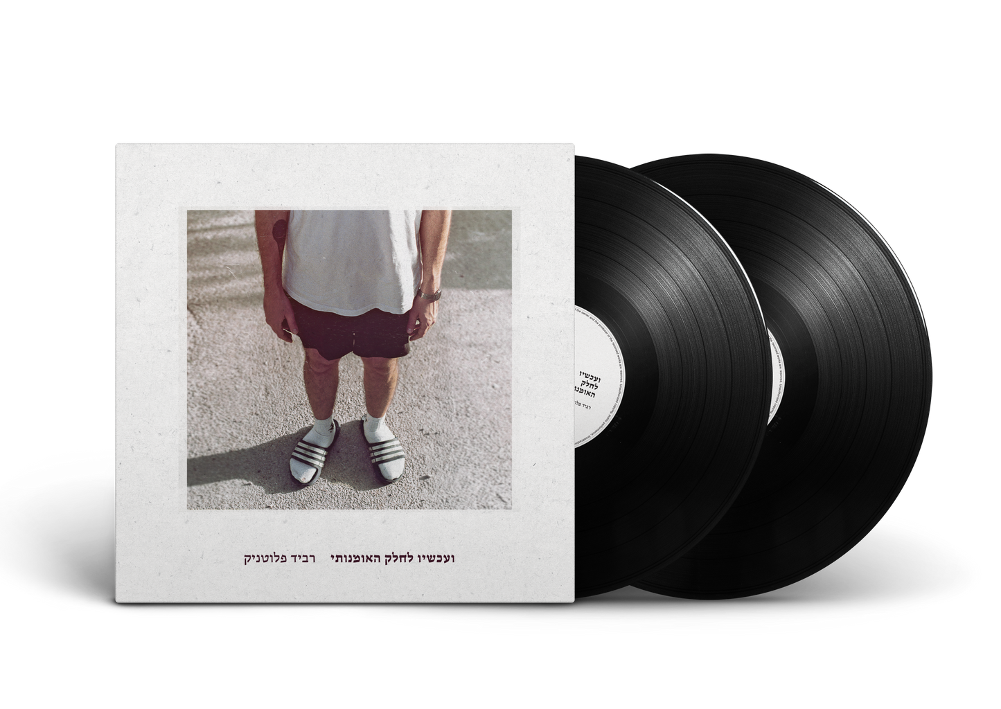 רביד פלוטניק - ועכשיו לחלק האומנותי (תקליט כפול)