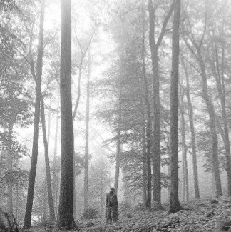 Taylor Swift - Folklor 2LP